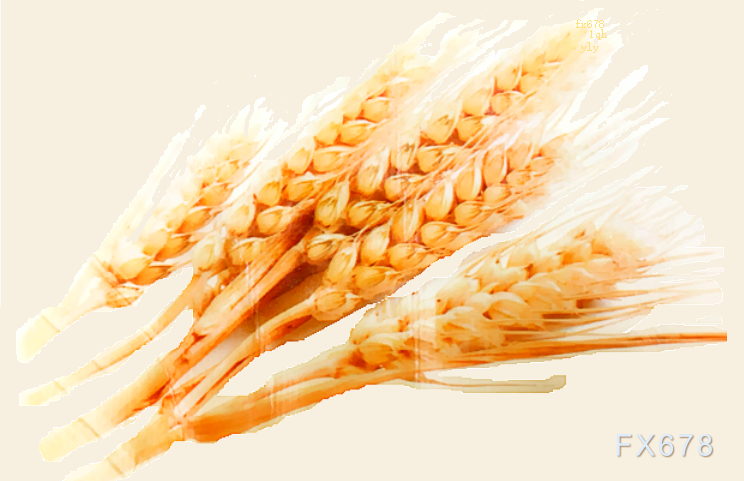 芝加哥小麦收复部分失地，仍接近 2020 年以来最低