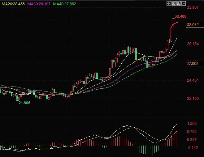 图片点击可在新窗口打开查看