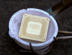 機構稱金價未來12個月或漲至4000美元 - 百利好環球
