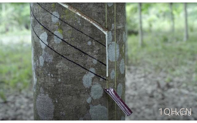 中信建投期货：橡胶预期退潮，现实定价