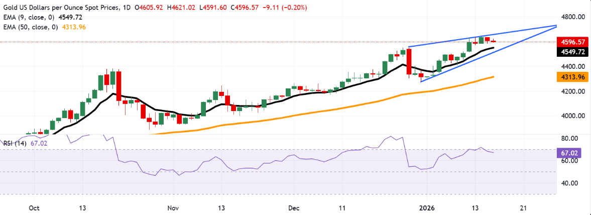 Click on the image to view it in a new window.