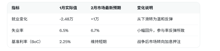 Click on the image to view it in a new window.