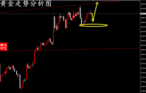 冷艺婕：11.18黄金回撤先跟进多 原油反弹仍空