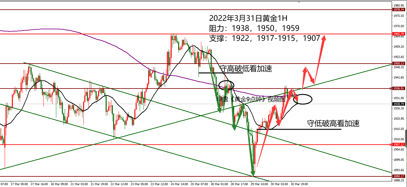 鑫顺看市：3.31黄金守低破高是关键，扫荡明显！
