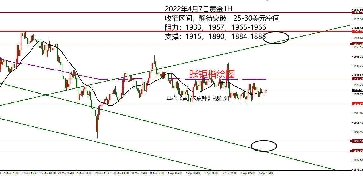 张钜楷；4.9黄金登高遇阻多头上涨无力，下周开盘反弹1950继续空附黄金多空精准解一一套