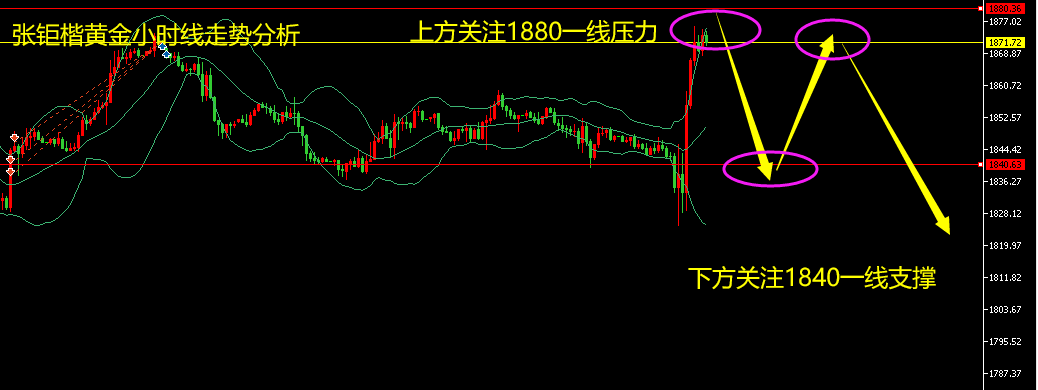 张钜楷；6.11现货黄金稳健获利指导，下周黄金最新行情走势分析独家策略布局