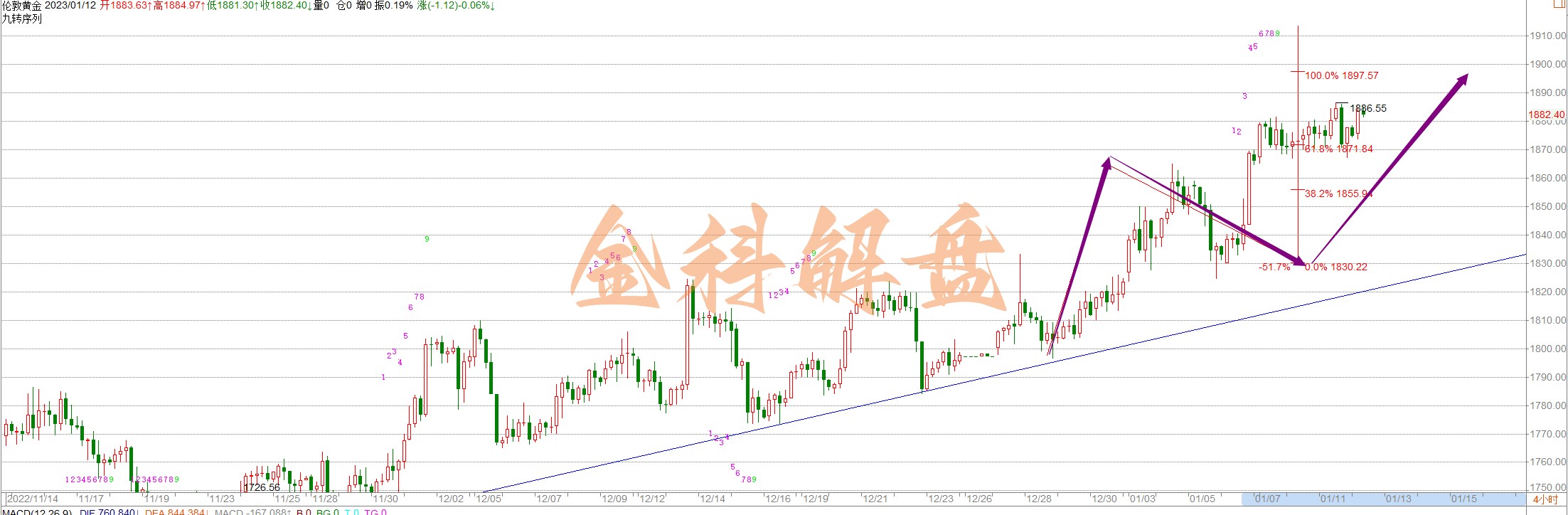 金科解盘：1.12CPI前瞻数据分析，以及后市操作建