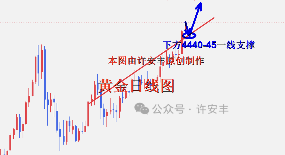 许安丰：12/23黄金高位震荡，蓄势回踩继续做多