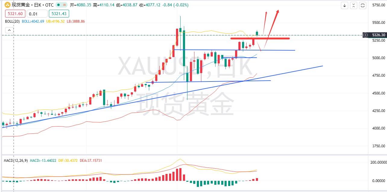 余梦圆：3.2-黄金5300上方大胆看涨！