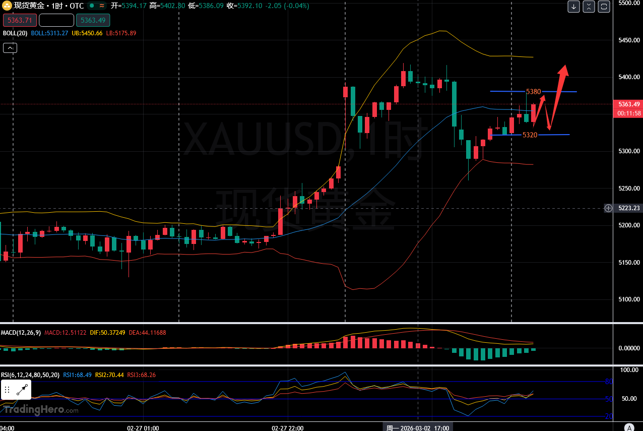 叶子钰：3.3-黄金深度洗盘再涨！