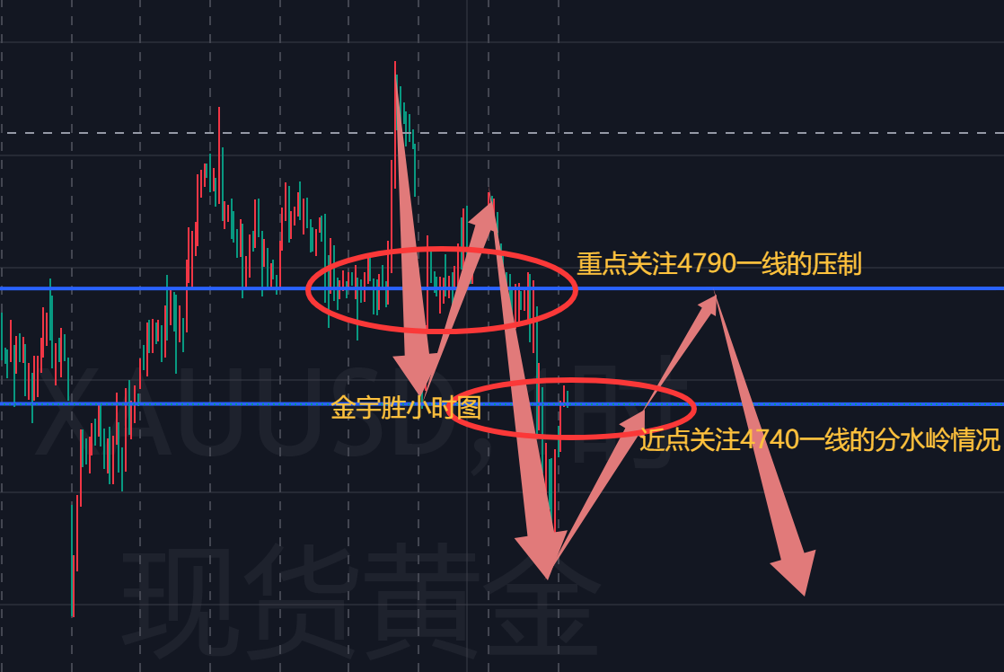金宇胜；开盘到周二的两天均成功把握，周三继续努力！