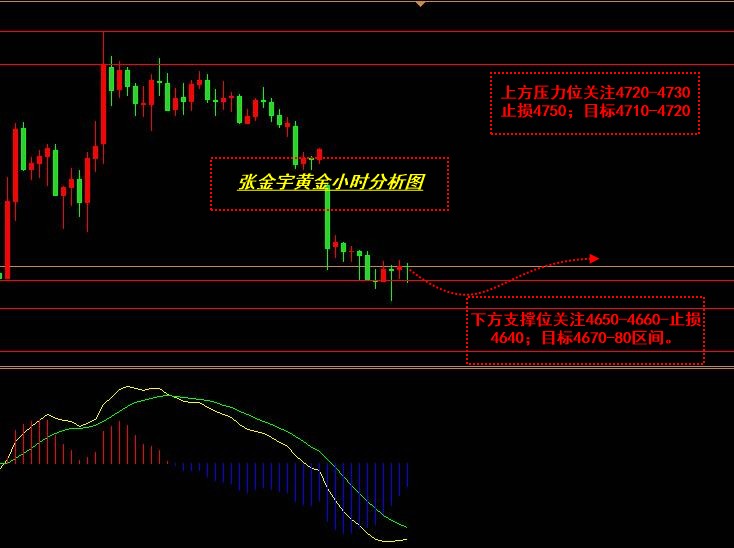 张金宇；美联储年内加息概率升温，金价测试4650关口。