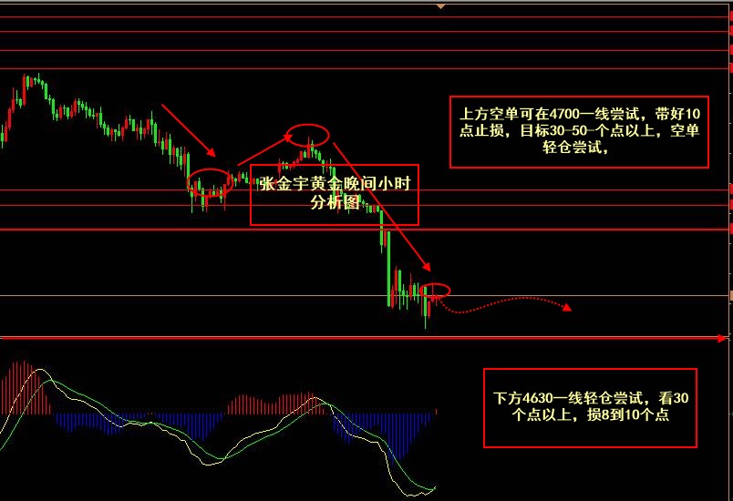 张金宇；4.28晚间黄金趋势分析及操作建议。