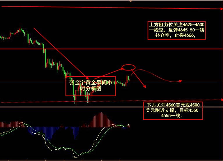 张金宇；4.29早盘实时分析及操作策略，有望缓慢上涨后震荡回调！