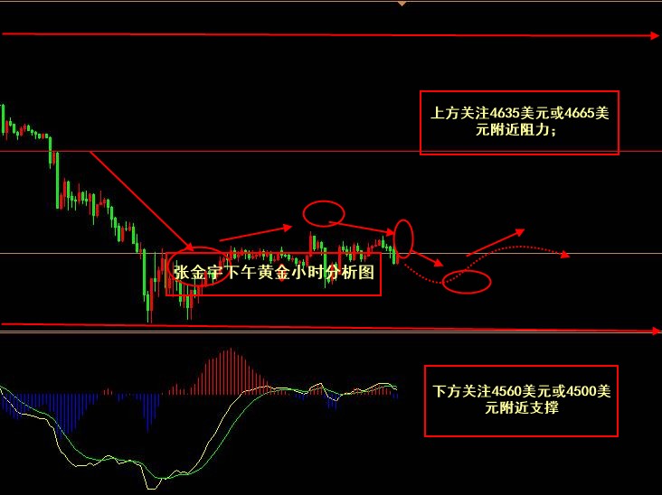 张金宇；4.29美联储利率决议前夕，黄金延续震荡调整！