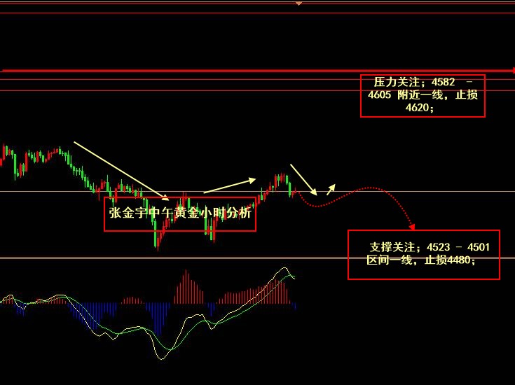 张金宇；4.30黄金短暂调整后反弹依然走势偏弱。