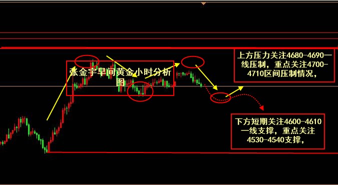张金宇；5.01美元走弱反弹，高利率预期持续限制黄金上行空间.