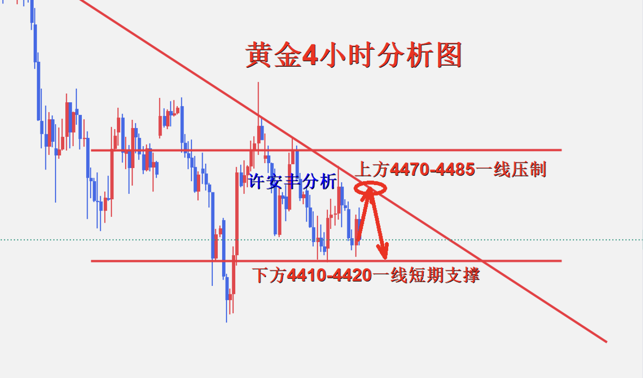 许安丰：6.5黄金晚间操作策略，非农符合预期做空思路