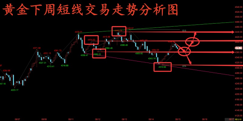 金玉堂：8.16黄金分析最要紧的就是细心，看的懂你才能把握好