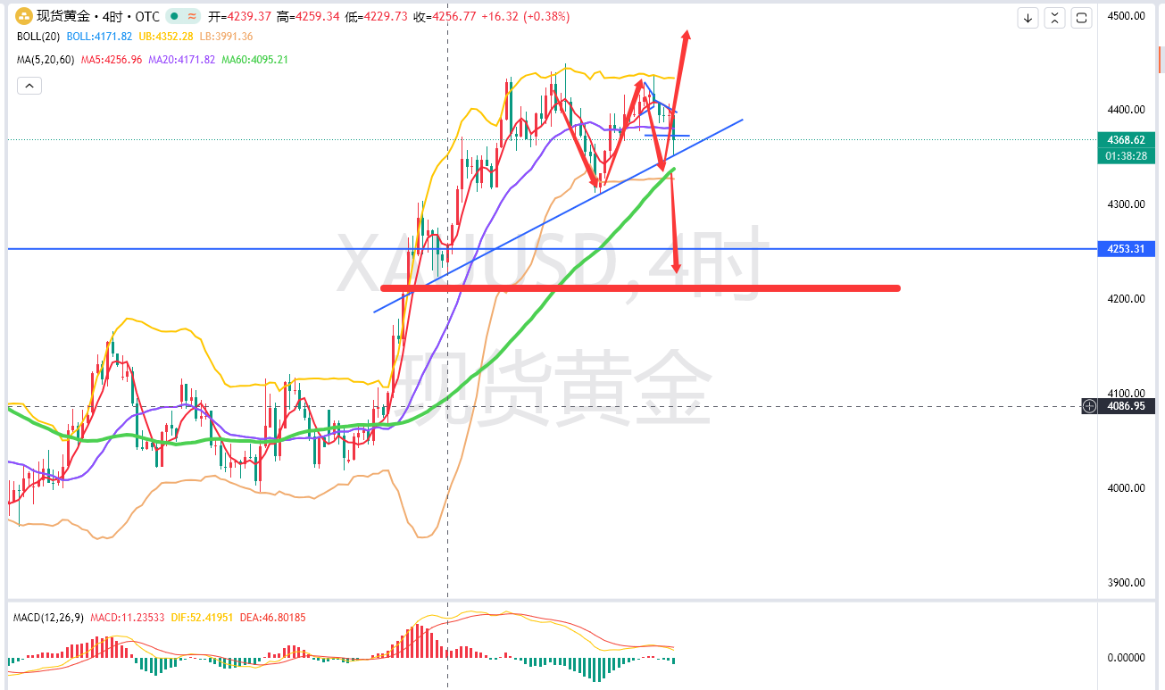 陈萍萍：8.19-黄金继续多了，消息影响落地切勿追空。